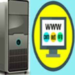 domain & hosting