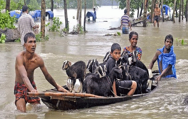 বন্যা বন্যা